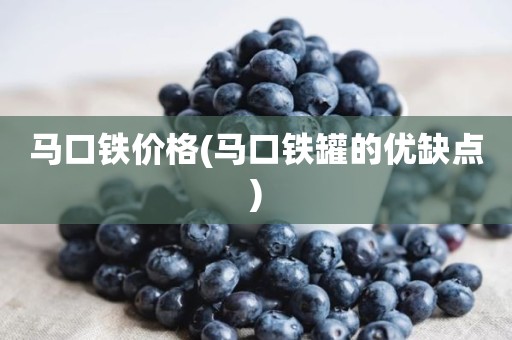 马口铁价格(马口铁罐的优缺点)