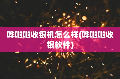哗啦啦收银机怎么样(哗啦啦收银软件)