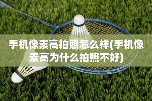 手机像素高拍照怎么样(手机像素高为什么拍照不好)