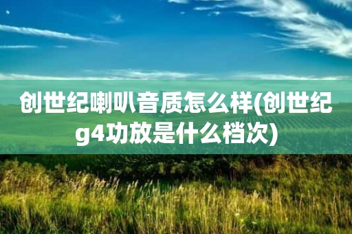 创世纪喇叭音质怎么样(创世纪g4功放是什么档次)