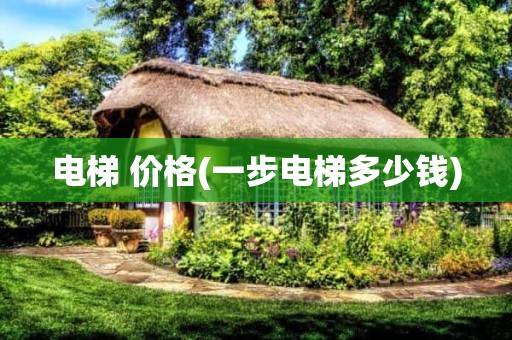 电梯 价格(一步电梯多少钱)