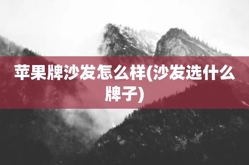 苹果牌沙发怎么样(沙发选什么牌子)