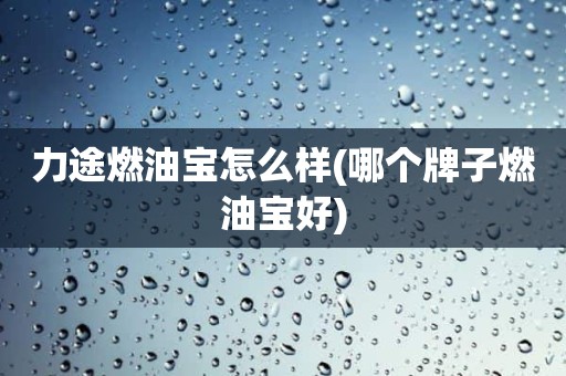 力途燃油宝怎么样(哪个牌子燃油宝好)