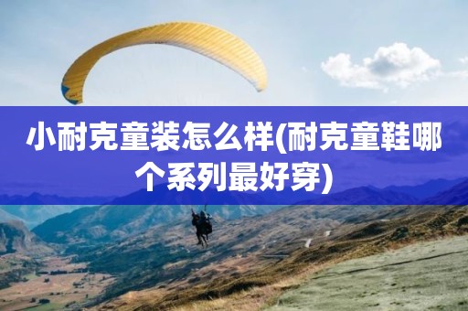 小耐克童装怎么样(耐克童鞋哪个系列最好穿)