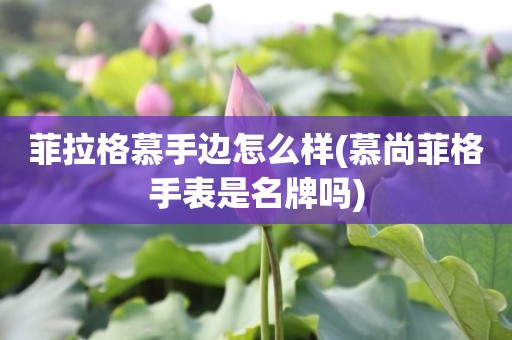 菲拉格慕手边怎么样(慕尚菲格手表是名牌吗)