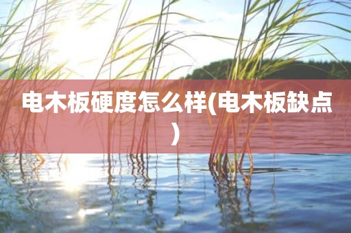 电木板硬度怎么样(电木板缺点)