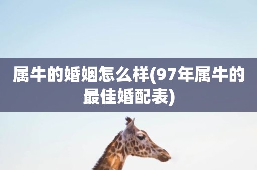 属牛的婚姻怎么样(97年属牛的最佳婚配表)