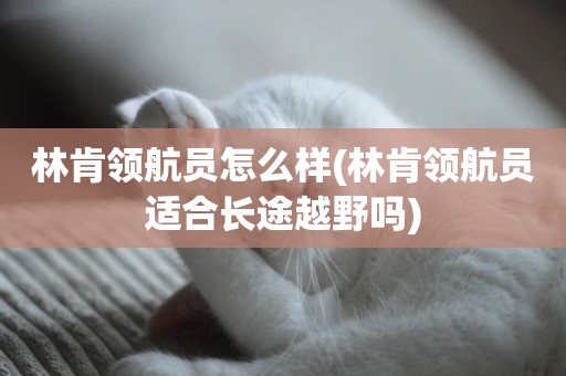 林肯领航员怎么样(林肯领航员适合长途越野吗)