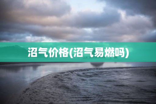 沼气价格(沼气易燃吗)