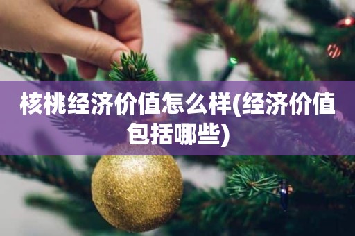 核桃经济价值怎么样(经济价值包括哪些)