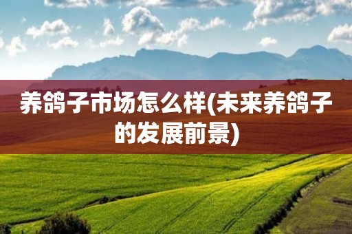 养鸽子市场怎么样(未来养鸽子的发展前景)