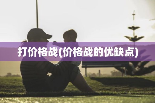 打价格战(价格战的优缺点)