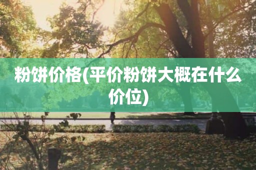 粉饼价格(平价粉饼大概在什么价位)