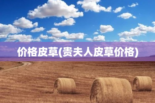 价格皮草(贵夫人皮草价格)