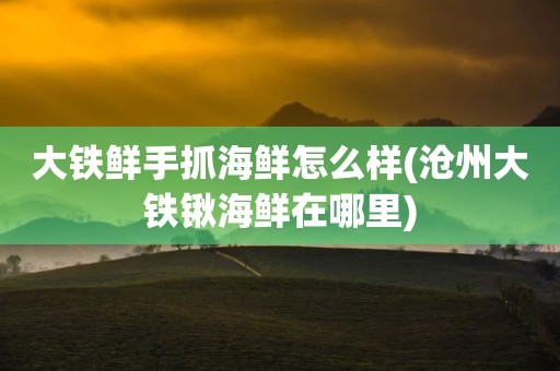 大铁鲜手抓海鲜怎么样(沧州大铁锹海鲜在哪里)