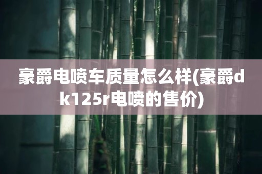 豪爵电喷车质量怎么样(豪爵dk125r电喷的售价)