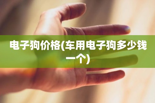电子狗价格(车用电子狗多少钱一个)