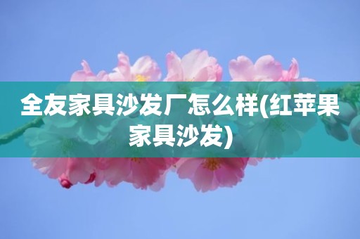 全友家具沙发厂怎么样(红苹果家具沙发)