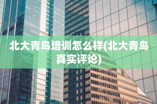 北大青鸟培训怎么样(北大青鸟真实评论)