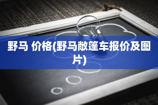 野马 价格(野马敞篷车报价及图片)