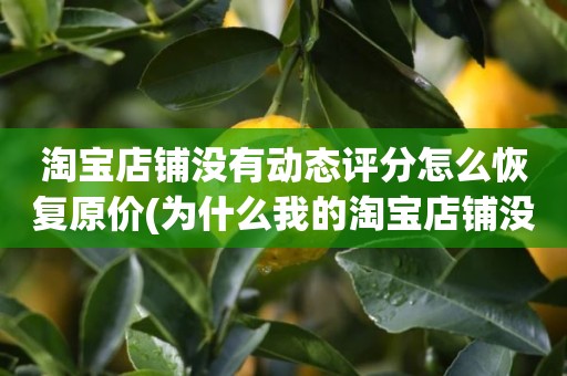 淘宝店铺没有动态评分怎么恢复原价(为什么我的淘宝店铺没有动态评分)