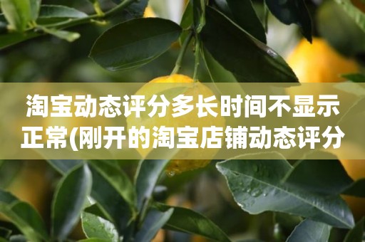 淘宝动态评分多长时间不显示正常(刚开的淘宝店铺动态评分什么时候开始显示)