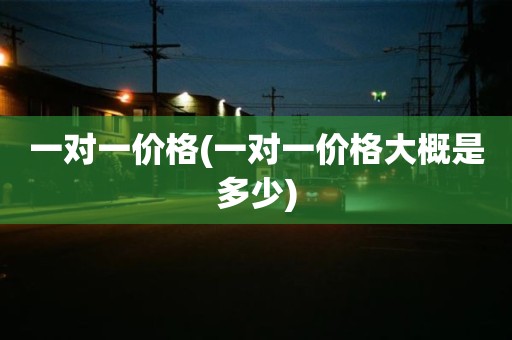 一对一价格(一对一价格大概是多少)