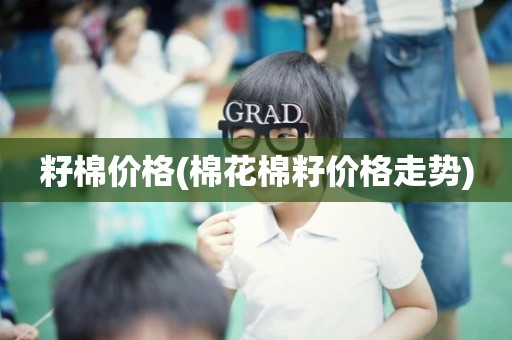 籽棉价格(棉花棉籽价格走势)