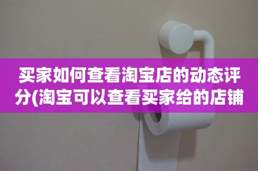 买家如何查看淘宝店的动态评分(淘宝可以查看买家给的店铺动态评分吗)