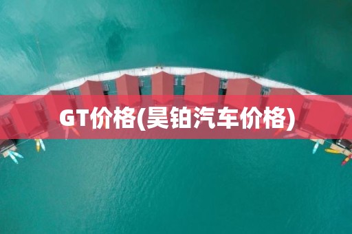 GT价格(昊铂汽车价格)