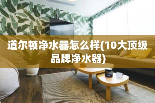 道尔顿净水器怎么样(10大顶级品牌净水器)