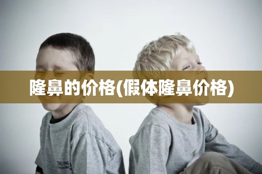 隆鼻的价格(假体隆鼻价格)