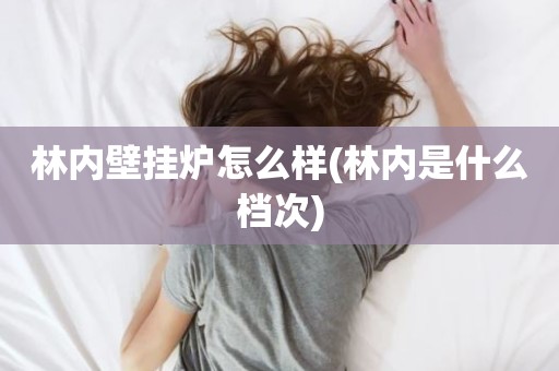 林内壁挂炉怎么样(林内是什么档次)