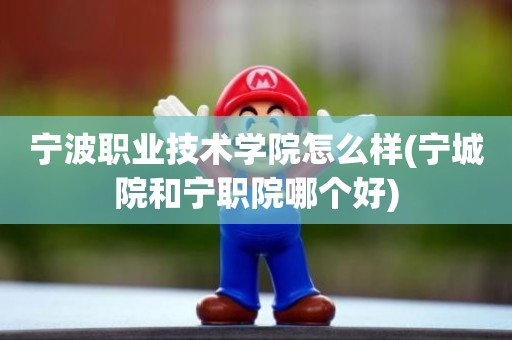 宁波职业技术学院怎么样(宁城院和宁职院哪个好)