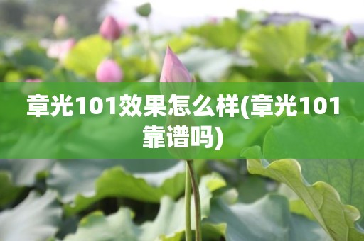 章光101效果怎么样(章光101靠谱吗)