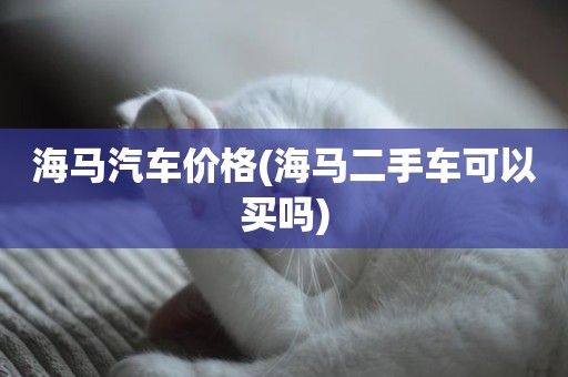 海马汽车价格(海马二手车可以买吗)