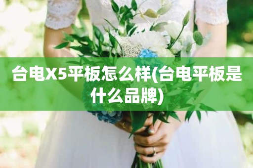 台电X5平板怎么样(台电平板是什么品牌)