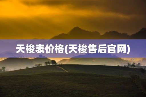 天梭表价格(天梭售后官网)