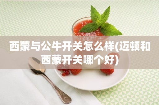 西蒙与公牛开关怎么样(迈顿和西蒙开关哪个好)