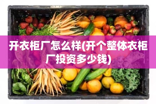 开衣柜厂怎么样(开个整体衣柜厂投资多少钱)