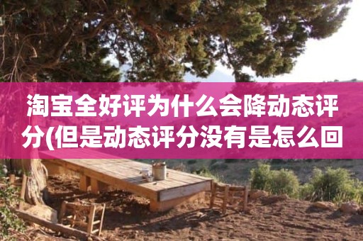 淘宝全好评为什么会降动态评分(但是动态评分没有是怎么回事)