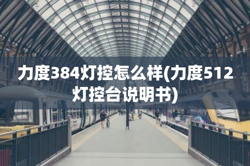 力度384灯控怎么样(力度512灯控台说明书)