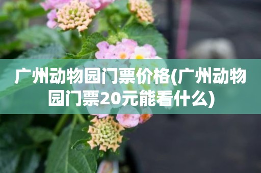 广州动物园门票价格(广州动物园门票20元能看什么)