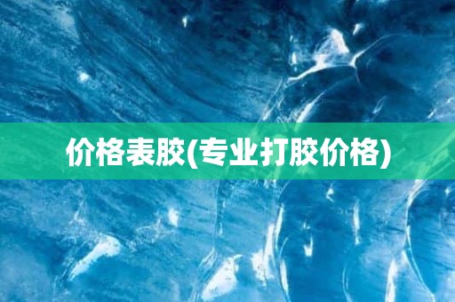 价格表胶(专业打胶价格)