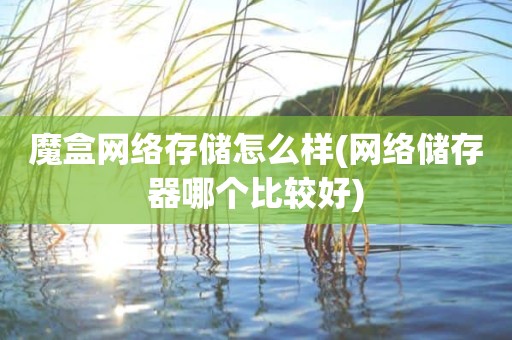 魔盒网络存储怎么样(网络储存器哪个比较好)