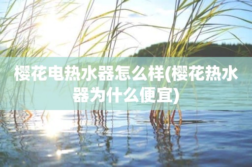 樱花电热水器怎么样(樱花热水器为什么便宜)