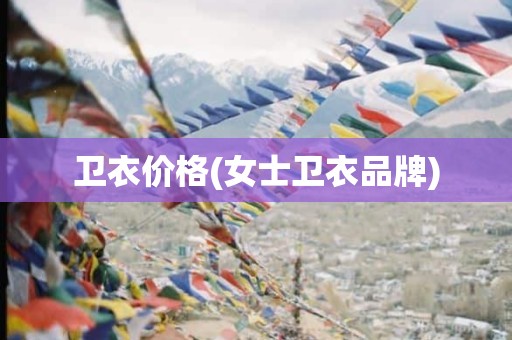卫衣价格(女士卫衣品牌)
