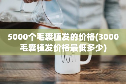 5000个毛囊植发的价格(3000毛囊植发价格最低多少)