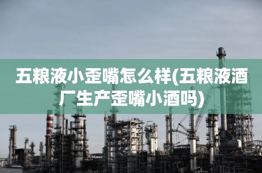 五粮液小歪嘴怎么样(五粮液酒厂生产歪嘴小酒吗)