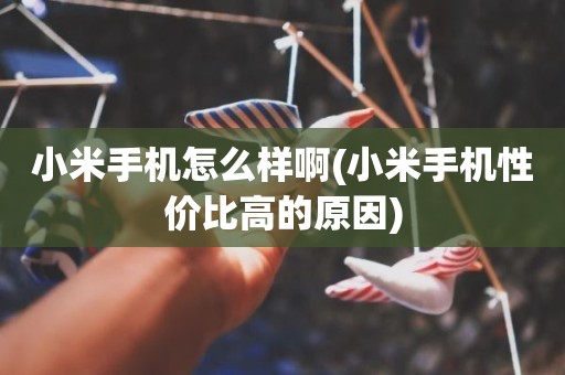 小米手机怎么样啊(小米手机性价比高的原因)